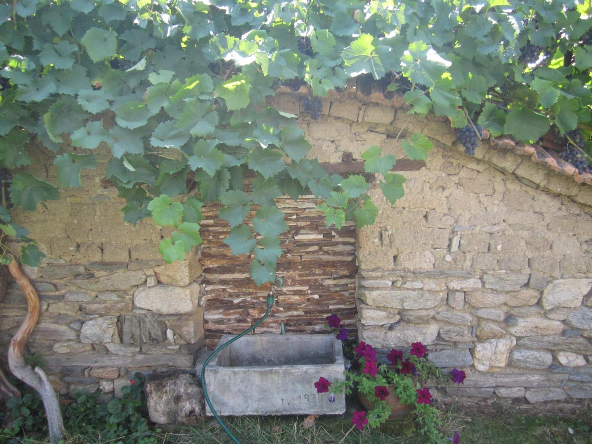 Guest House Popov Marchevo Exterior foto